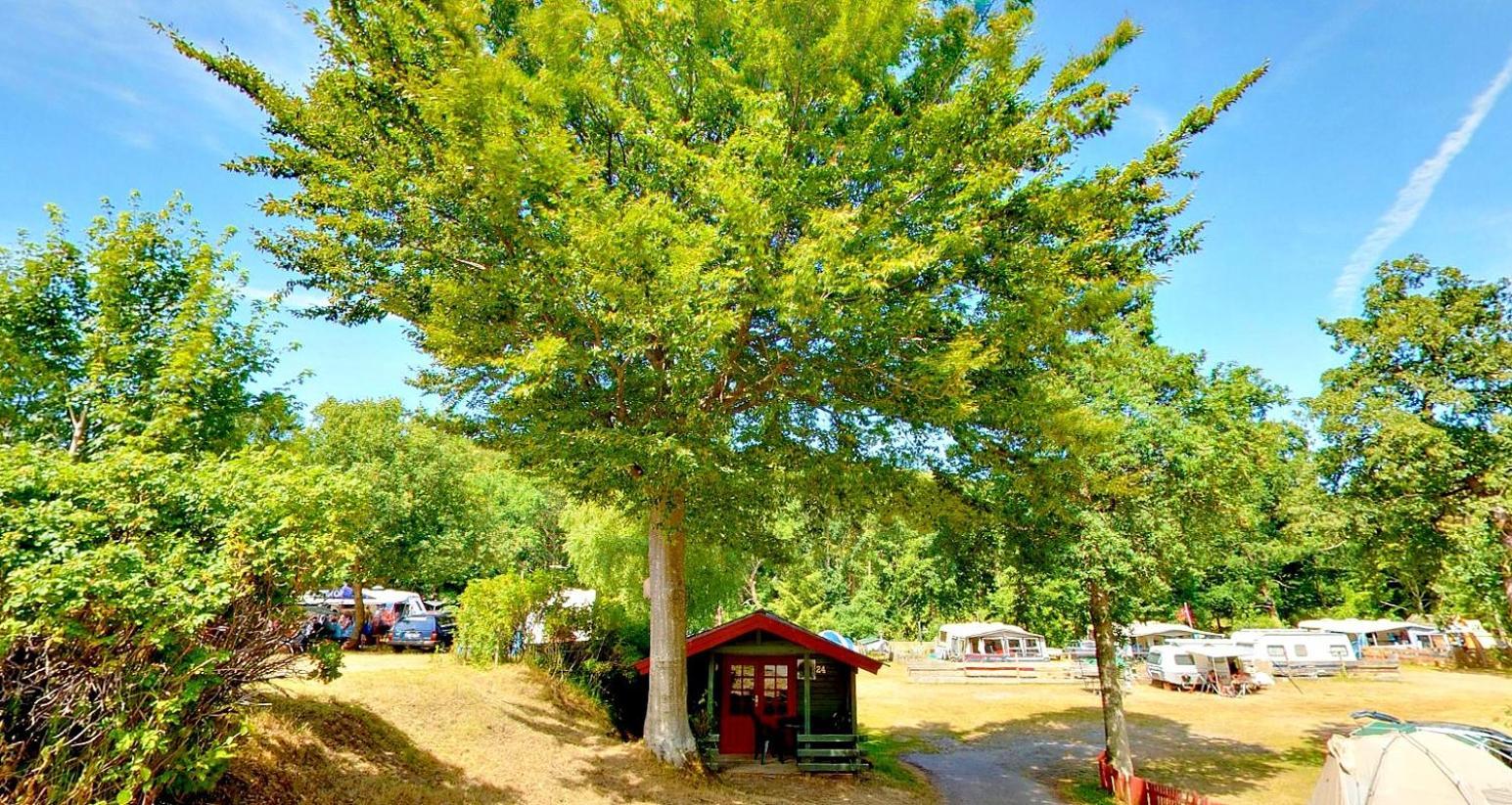 Randboldal Camping & Cabins المظهر الخارجي الصورة