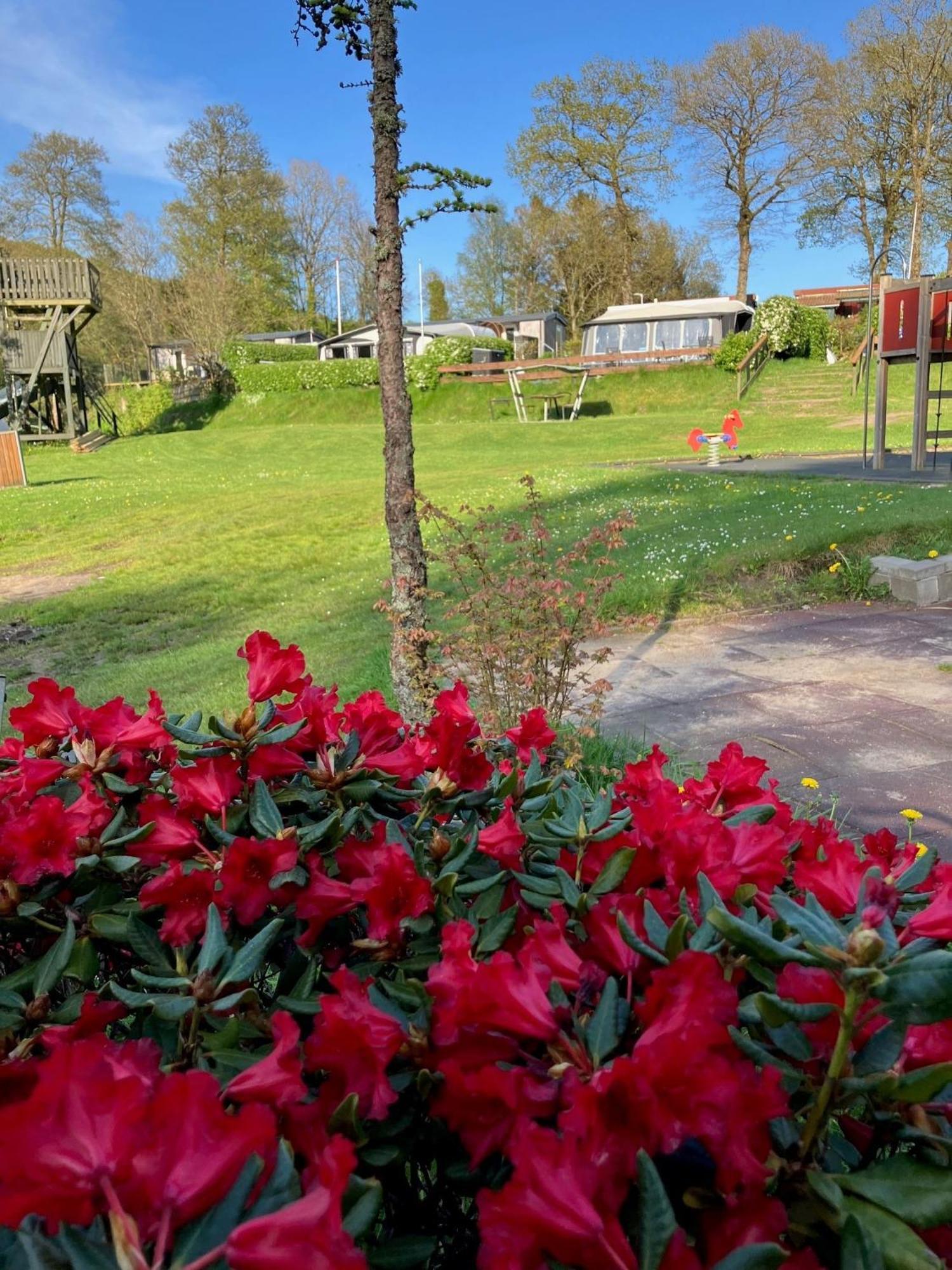 Randboldal Camping & Cabins المظهر الخارجي الصورة